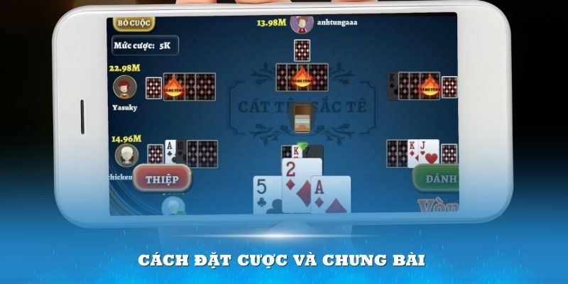 Cách đặt cược và chưng bài sao cho hiệu quả trong một ván chơi