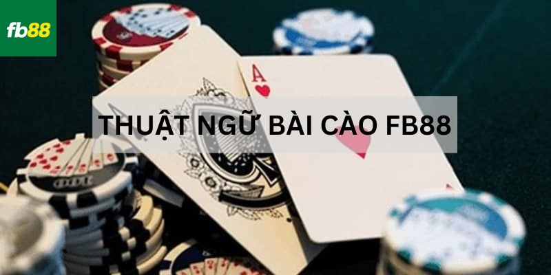 Luật chơi bài cào với những quy tắc siêu đơn giản